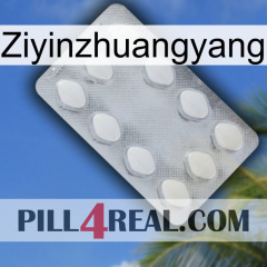 Ziyinzhuangyang 16